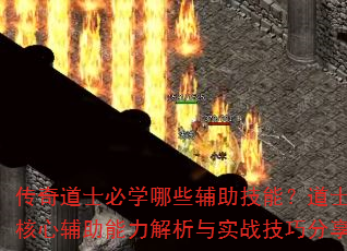 ʿѧЩܣʿְҵĸʵսɷ