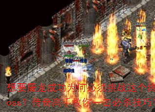 ҪɹΪαսռbossֽһɱɣ
