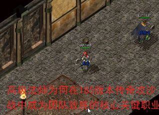 ߼ʦΪ185汾湥ɳսгΪŶʤĺĹؼְҵ