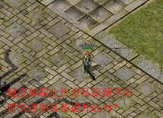 䵥ְҵ˽οˢװս
