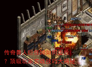 ˾޹DBλܣʵսɴ