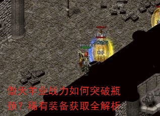ҵսͻƿϡװȡȫ