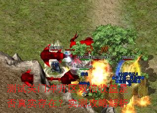 Թų忪˫Ƿʵڣʵ⹥Խ