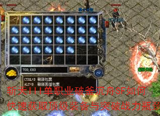 նIIIְҵƸSFοٻȡװͻսƿ