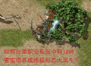 ڵְҵ˽н18תռ̬ţ