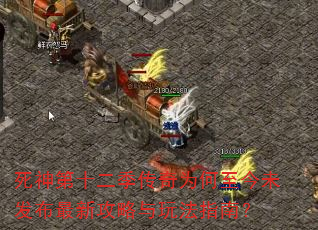 ʮΪδ¹淨ָϣ