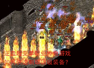 Ѫ䵥ְҵϷοˢȡװ