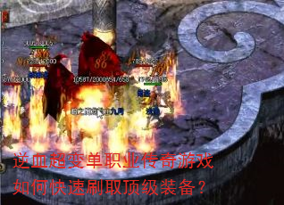 Ѫ䵥ְҵϷοˢȡװ