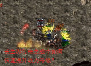 紫֮սοսȼ