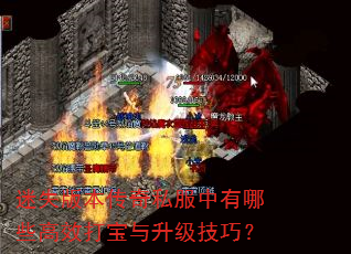 ʧ汾˽ЩЧɣ