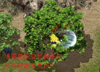 ѩְҵθЧˢȡ