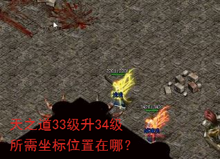 ֮3334λģ