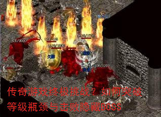 ϷռսͻƵȼƿBOSS