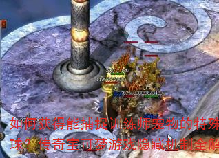 λܲ׽ѵʦ⾫򣿴汦Ϸػȫ