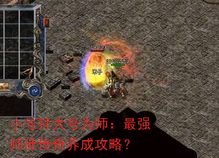 СŰݴΪʦǿʦͽɹԣ