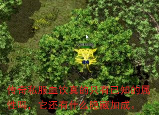 ˽Ѫֻ֪ʲôؼӳɡ