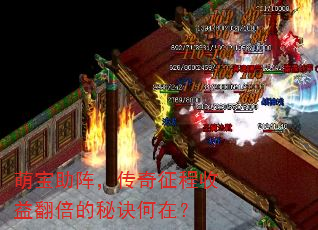 ȱ󣬴淭ؾڣ