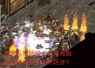 ˽飬ָͽָ֣