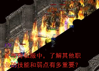 ڴ˽У˽ְҵļܺжҪ