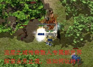 ֮Ǵɢרֹ̽ת