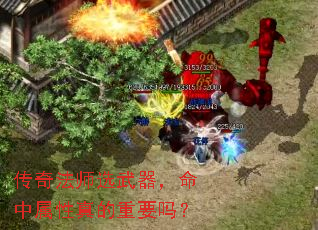 淨ʦѡҪ
