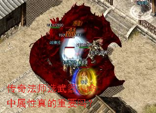 淨ʦѡҪ