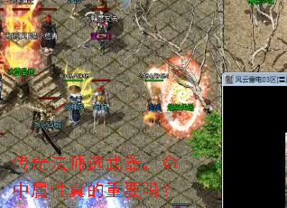 淨ʦѡҪ