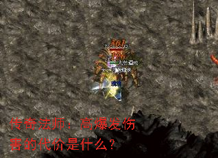 淨ʦ߱˺Ĵʲô