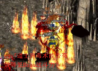 cqsfʿʩܷЧBossս