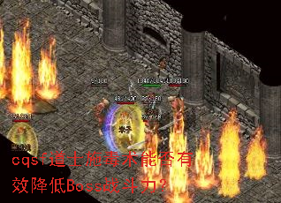 cqsfʿʩܷЧBossս