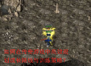 ڴϷиЧ滮ɳ·ѵԣ