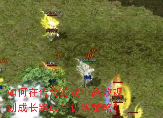 ڴϷиЧ滮ɳ·ѵԣ