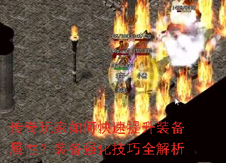 οװԣװǿȫ
