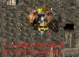 ΪʲôѪڴ˽бΪʦְҵռ