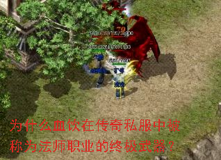 ΪʲôѪڴ˽бΪʦְҵռ