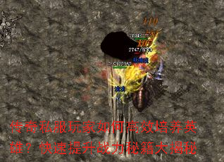 ˽θЧӢۣսؼ