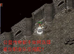 洫ѡְҵ䣿