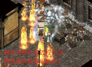䴫οͻƵȼƿ