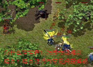 Ϊʲô1.76볣