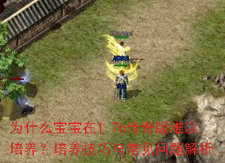 Ϊʲô1.76볣