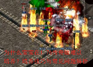 Ϊʲô1.76볣