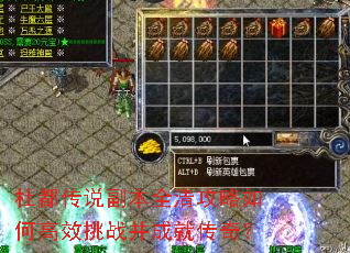 Ŷ˵ȫ幥θЧսɾʹ棿