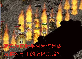 ִ̬ΪǳΪϷֵıؾ֮·