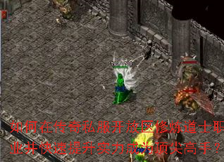 ڴ˽ʿְҵʵΪ֣