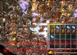 ڴ˽ʿְҵʵΪ֣