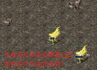 ϷװҪЩ裿