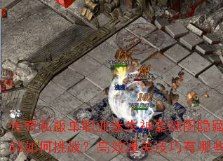 传奇私服单职业迷失神器地图隐藏BOSS如何挑战?高效通关技巧有哪些? 传奇私服单职业迷失神器地图隐藏BOSS如何挑战?高效通关技巧有哪些?