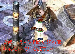 高级法师带队刷蜈蚣洞有哪些必备技巧与实战要点? 高级法师带队刷蜈蚣洞有哪些必备技巧与实战要点?