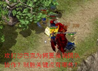 ɳͿΪҪǿŶЭʤؼЩ