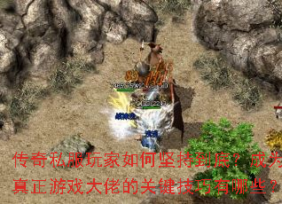 ˽μֵףΪϷеĹؼЩ